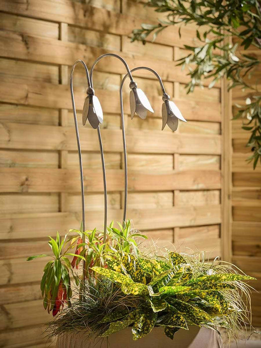 Three Snowdrop Garden Stakes