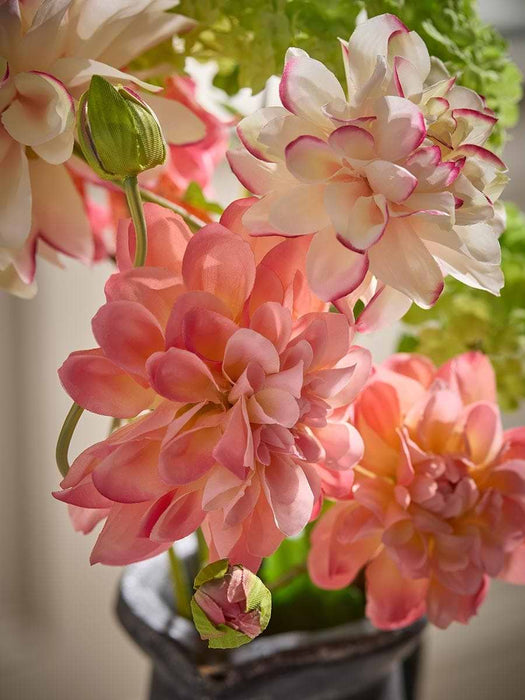 Dahlia Spray - Cream & Pink