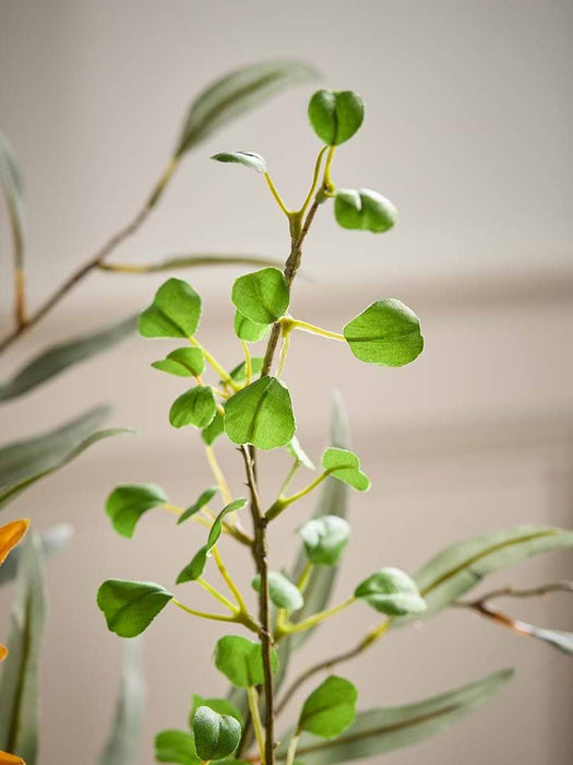 Leaf Spray