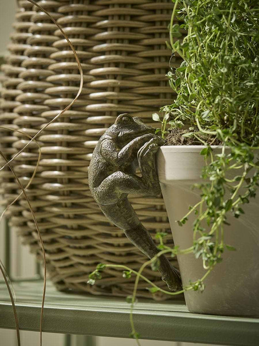 Freddie Frog Pot Hanger