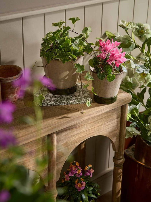 Two Contrast Planters & Saucers