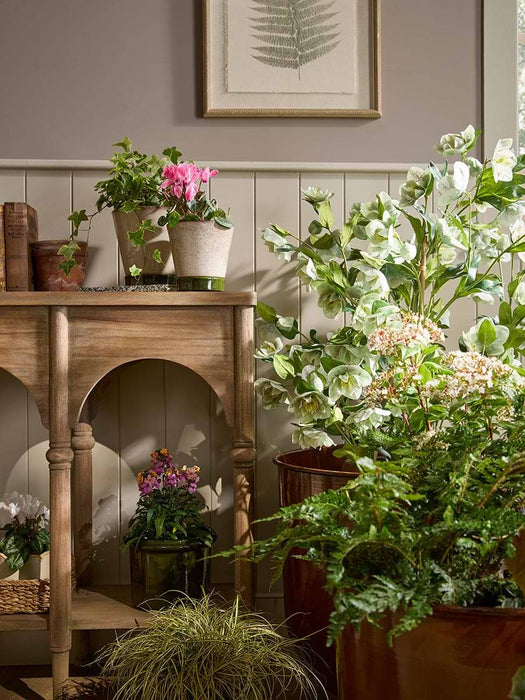Two Contrast Planters & Saucers