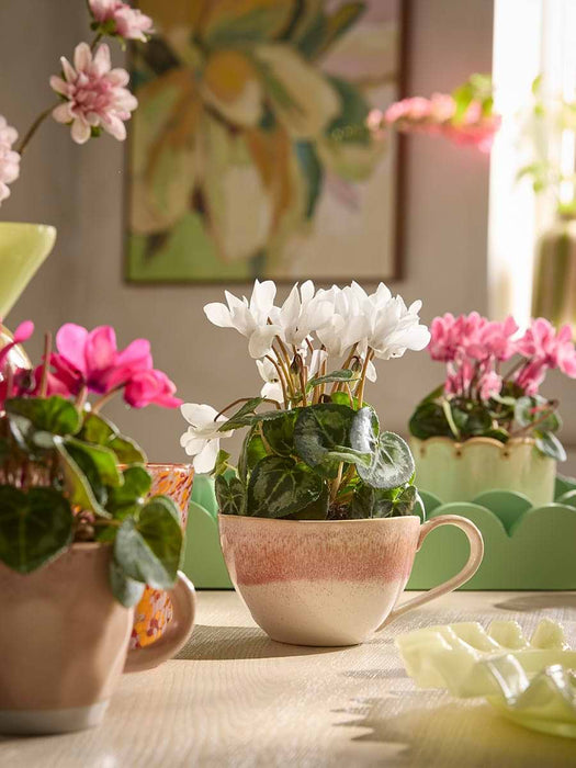 Four Reactive Glaze Mugs- Rose Pink
