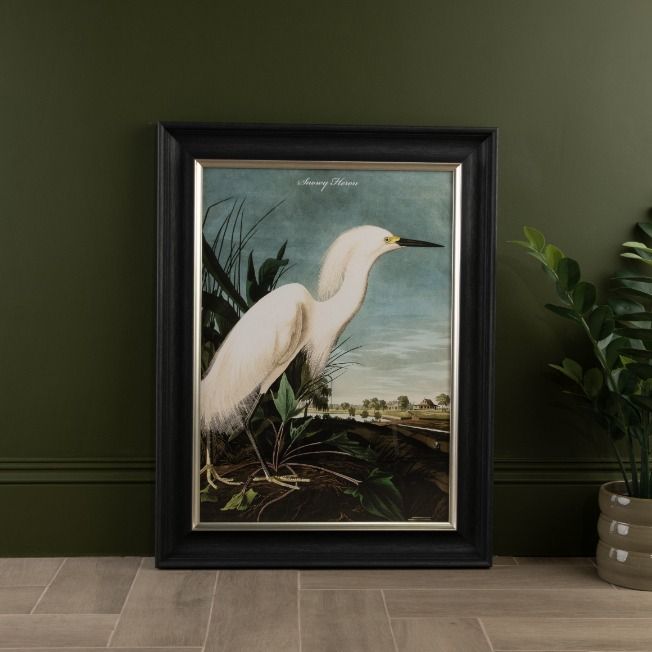 Snowy Heron Framed Print - In Stock