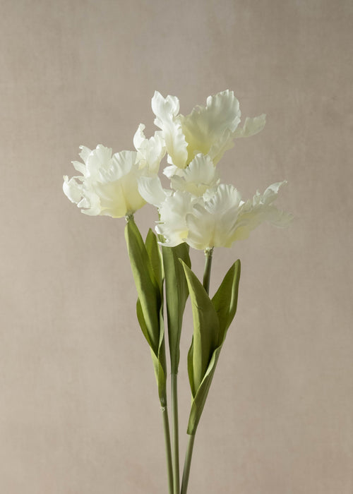 Faux White Parrot Tulip - Set of 3