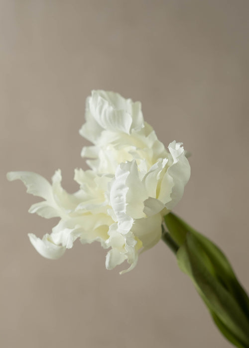 Faux White Parrot Tulip - Set of 3