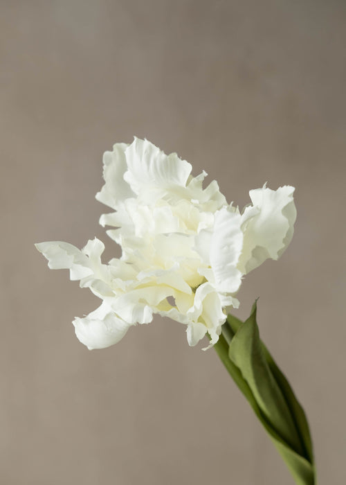 Faux White Parrot Tulip - Set of 3