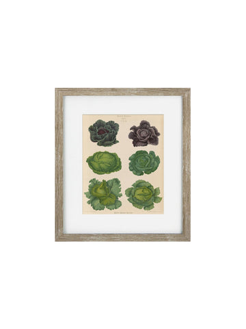 Vintage Veg II Framed Art Print