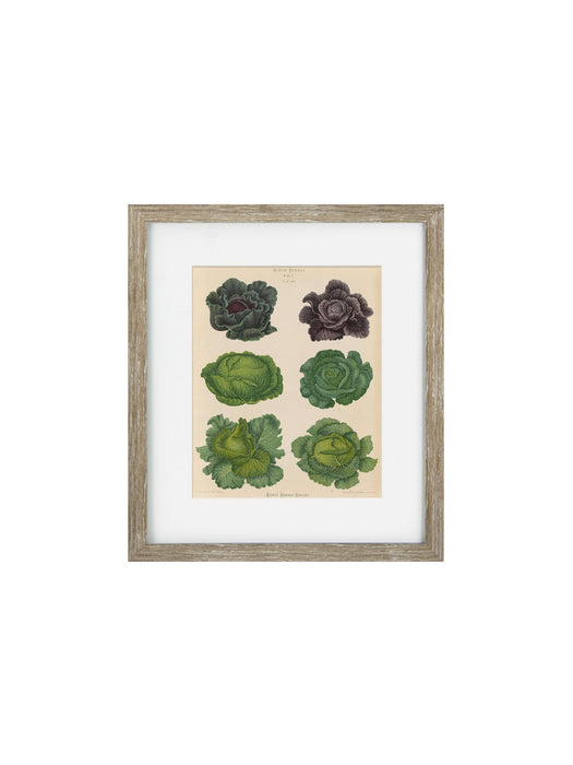 Vintage Veg II Framed Art Print