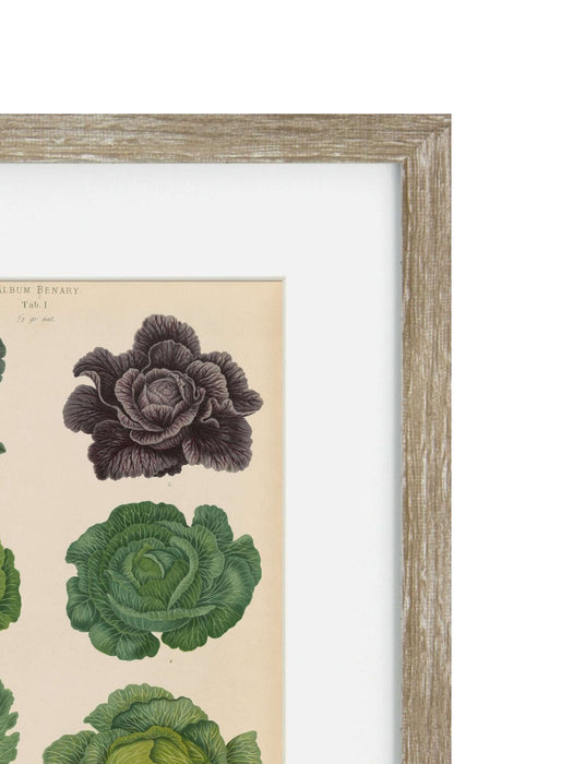 Vintage Veg II Framed Art Print