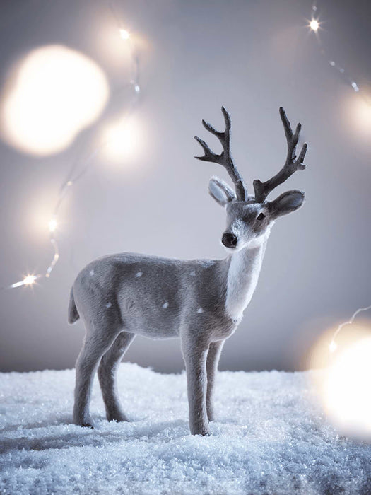 Grey Standing Deer